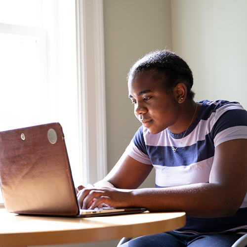 Virtual Visit Opportunities 